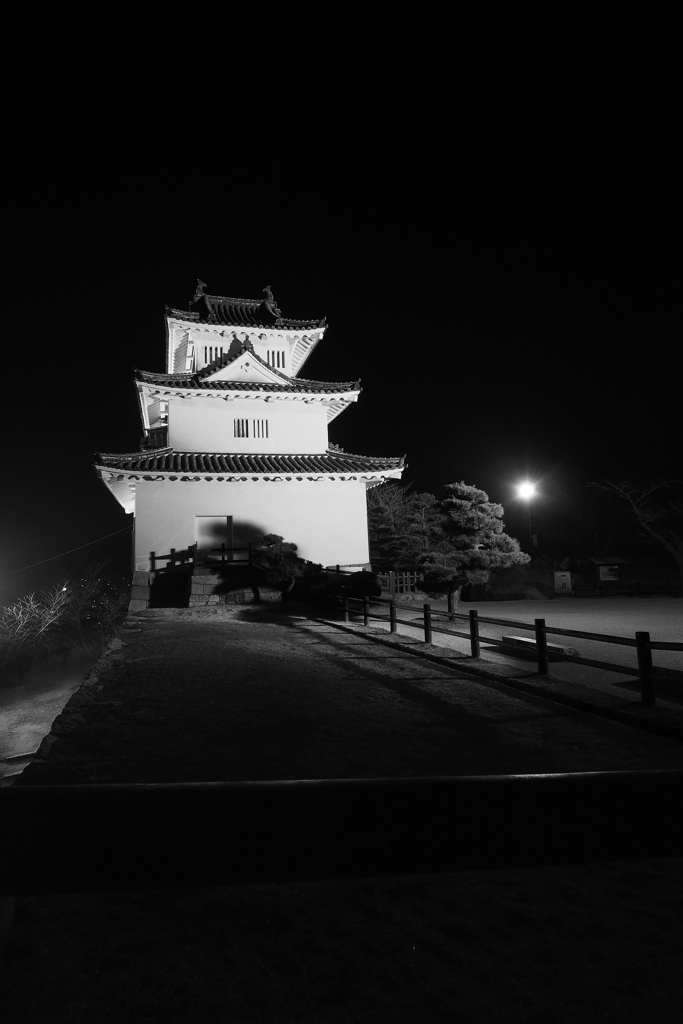 夜の本丸　丸亀城天守