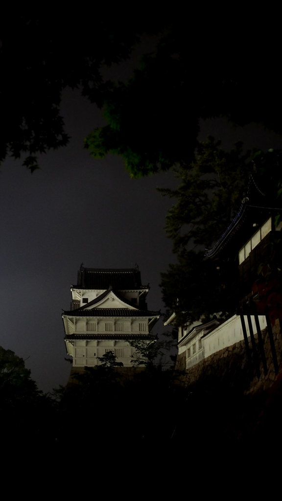 福山城伏見櫓　蕭々と降る雨