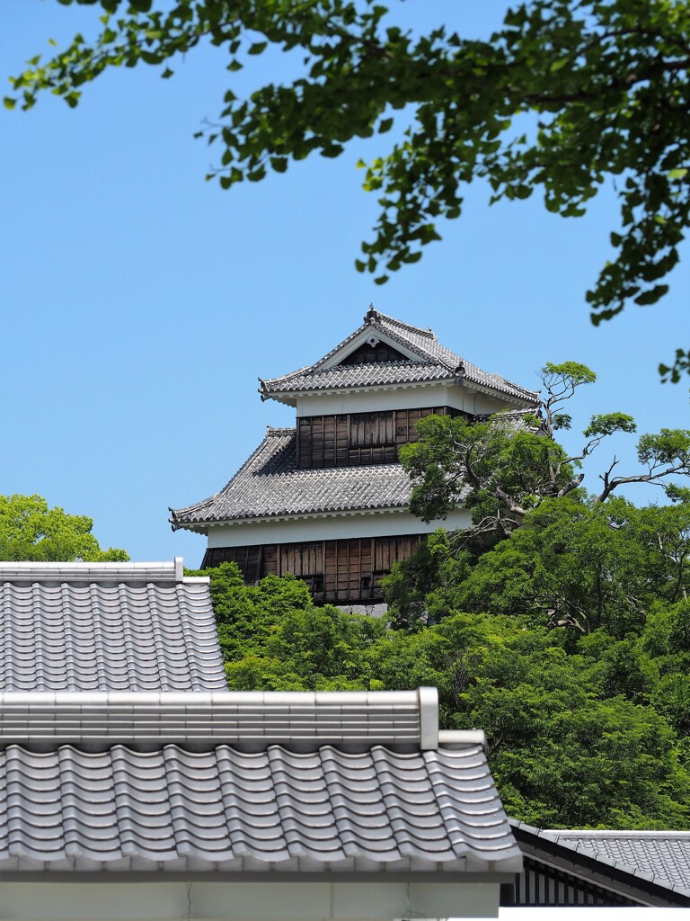 新緑の未申櫓　熊本城