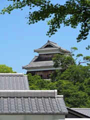 新緑の未申櫓　熊本城
