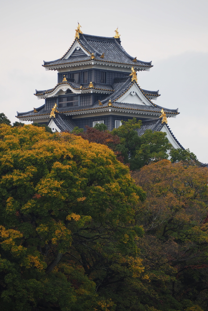 色彩　岡山城