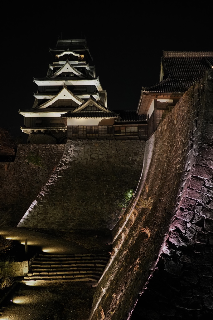 高石垣と夜の天守　熊本城