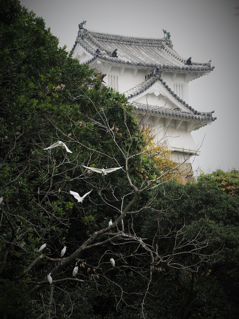 明日へ　姫路城