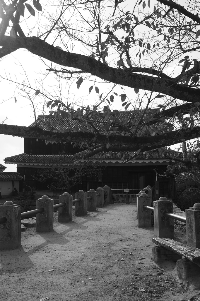 思い出　松山城