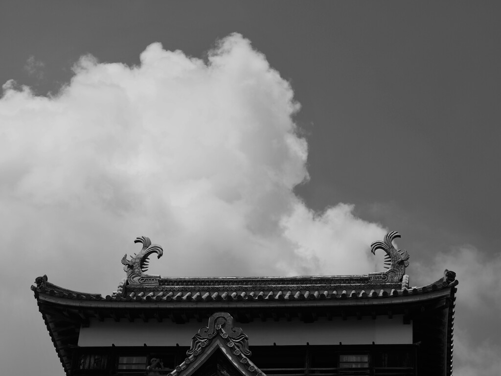 夏空と松江城天守