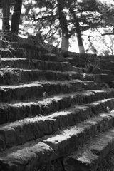 階段　和歌山城内堀