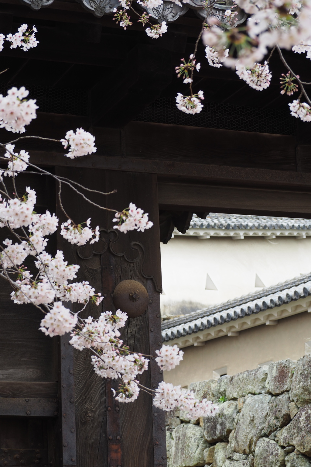 花の散るらむ　姫路城