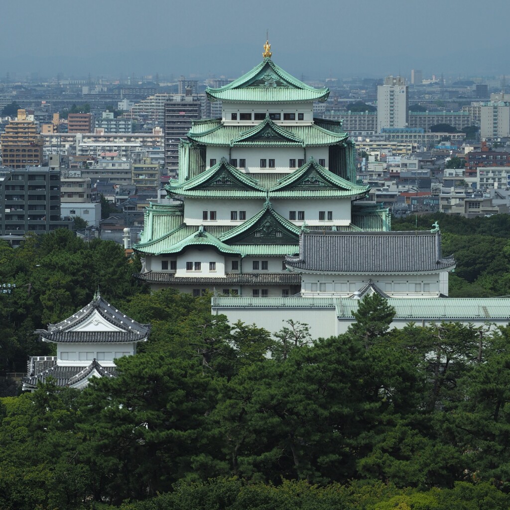 行く末　名古屋城大天守