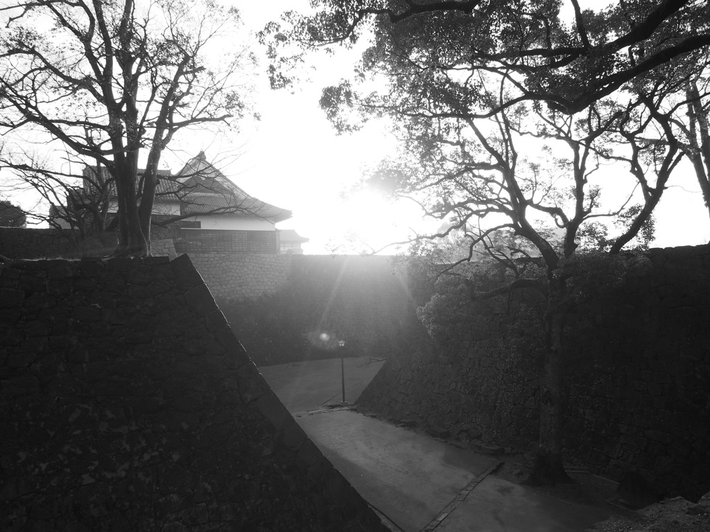城の朝　熊本城