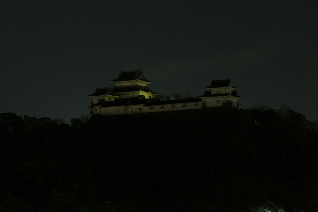 夜城　和歌山城