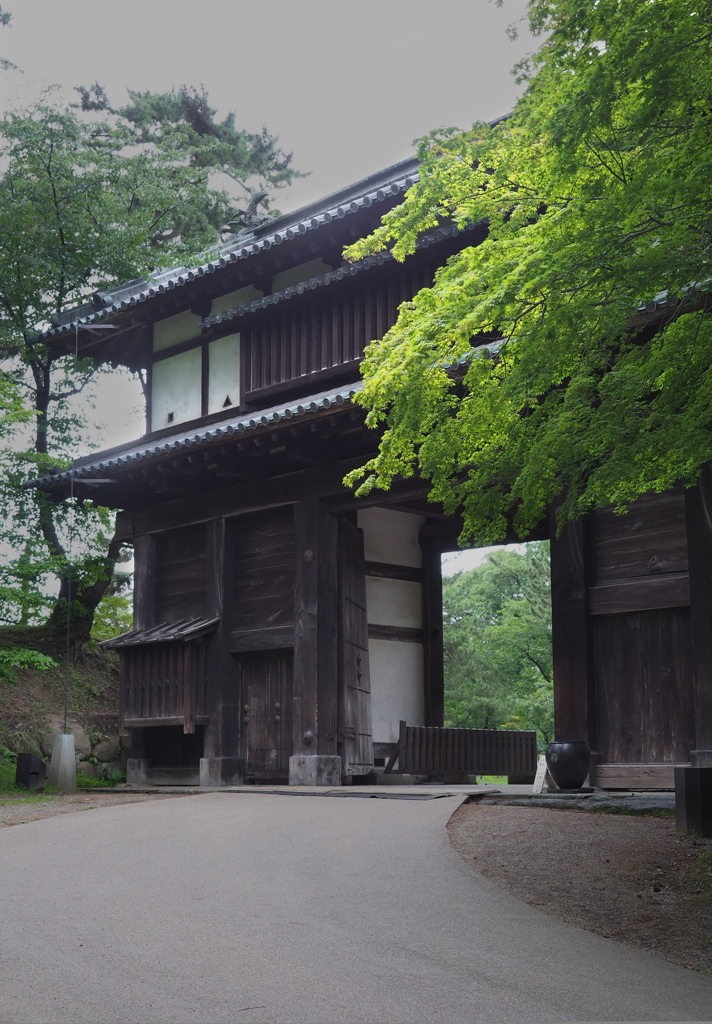 新緑鮮やかに　弘前城　東内門