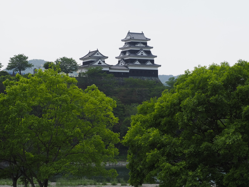 緑緑　大洲城