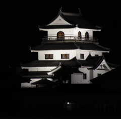 白石城三階櫓夜景