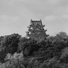 城下町から　宇和島城