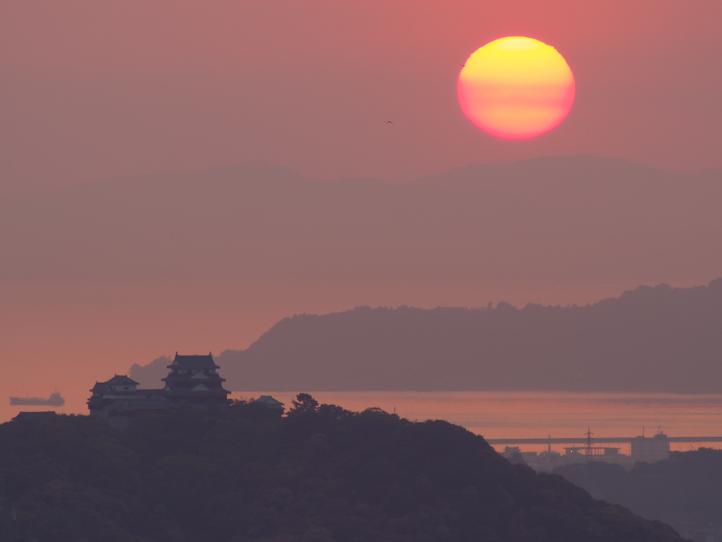 落日燃ゆ　松山城