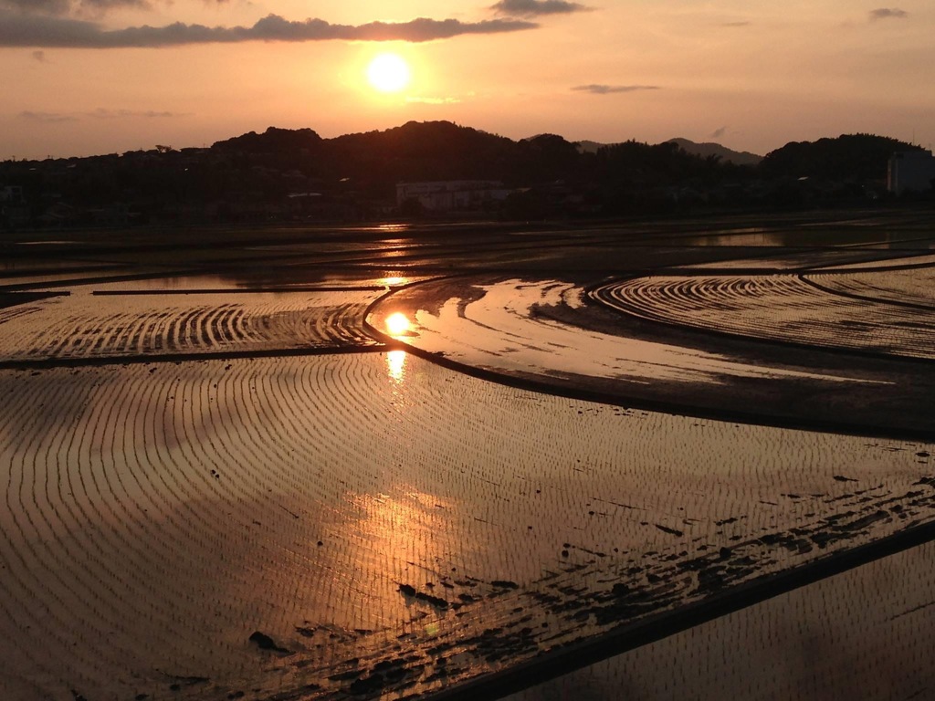 夕焼け