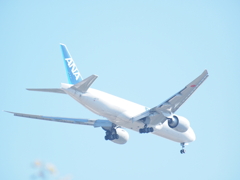 ANA