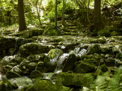 森林浴 環境芸術の森