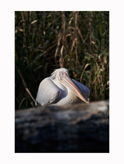 5DDB49AD-1930-4E56-80AC-A6137D50092B