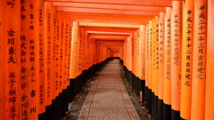 DSCF1026
