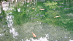 DSCF0001