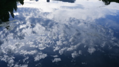 DSCF0885