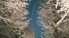 DSCF8400