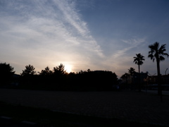 DSCF0347