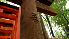 DSCF0957