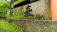 献奉
