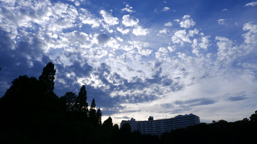 DSCF0904