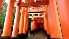 DSCF0954