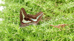 DSCF0627