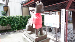 DSCF0540