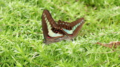 DSCF0570