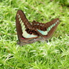 DSCF0570