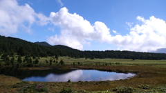 池の平湿原