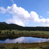 池の平湿原