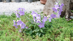 DSCF0557