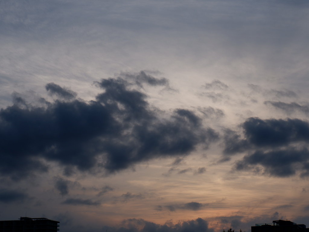 DSCF0367