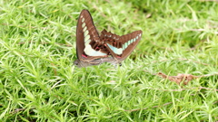 DSCF0582