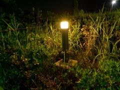 DSCF0459