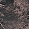 DSCF8414