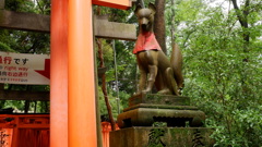 DSCF0962