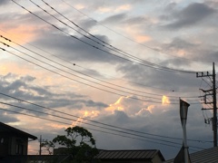 梅雨入り前の黄昏