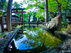 白虎の静けさや