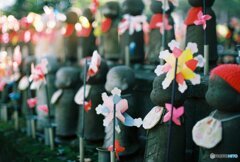 増上寺のじぞうさん