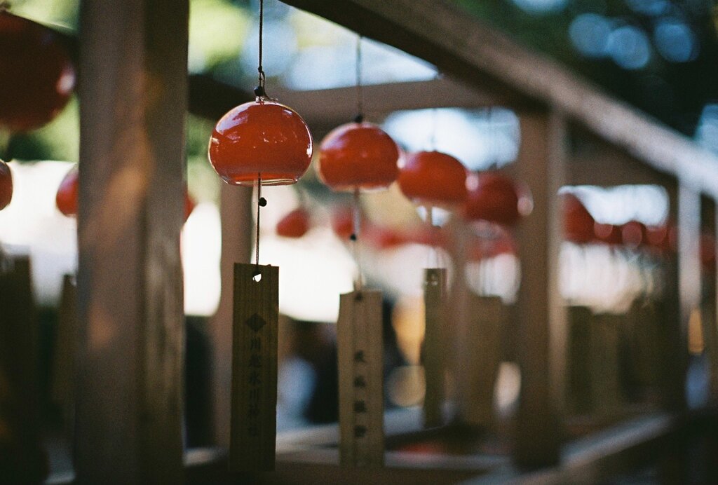 氷川神社の七五三
