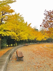 木場公園にて