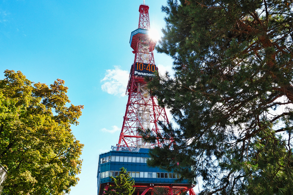 1丁目からのテレビ塔